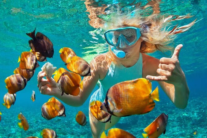 1 Hour Private Snorkeling Activity In Montego Bay - Key points at a glance