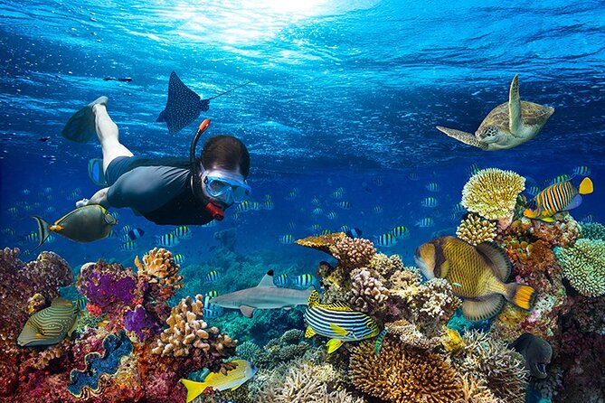 1 Hour Private Snorkeling Activity In Montego Bay - Getting ready with gear and instruction