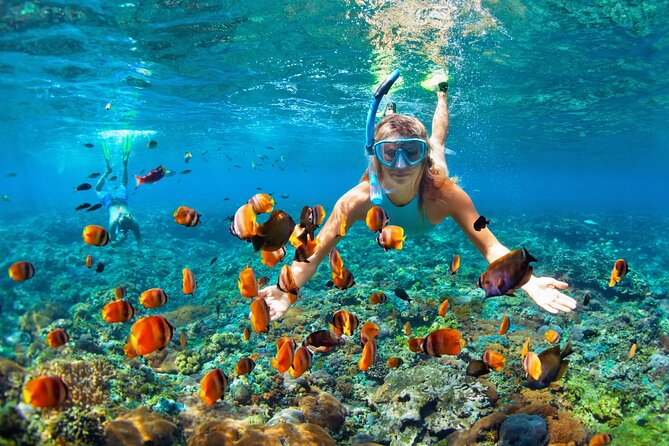 1 Hour Private Snorkeling Activity In Montego Bay - One hour among fish and coral
