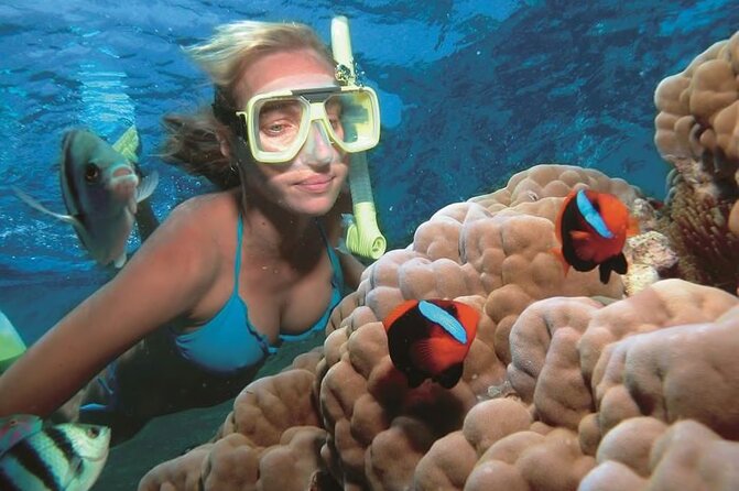 1 Hour Private Snorkeling Activity In Montego Bay - What private really means here