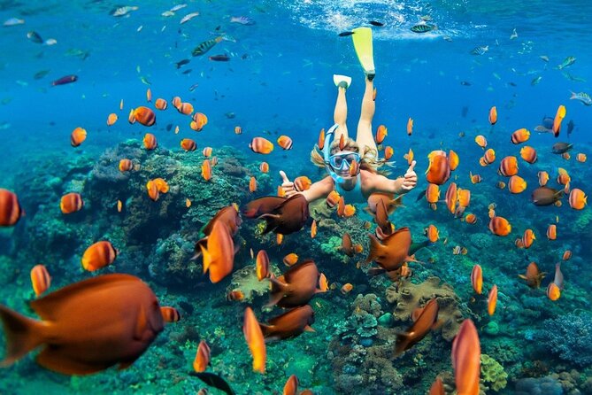 1 Hour Private Snorkeling Activity In Montego Bay - Is $110 per person good value?