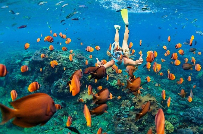 1 Hour Private Snorkeling Activity In Montego Bay - Who will enjoy this Montego Bay snorkeling trip?