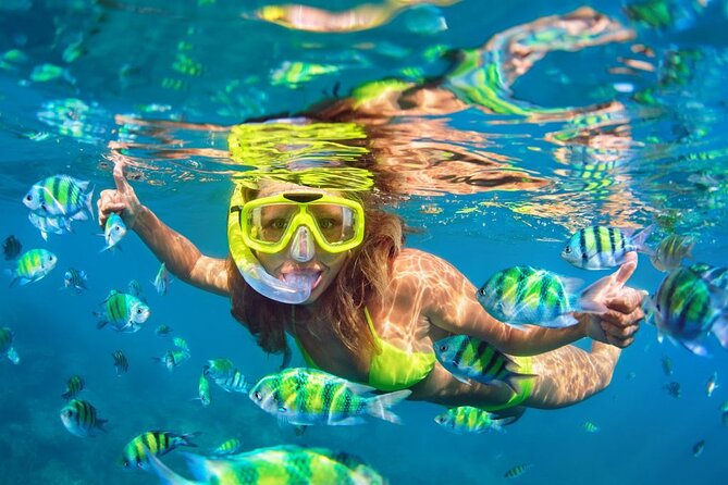 1 Hour Private Snorkeling Activity In Montego Bay - Booking timing, weather, and cancellation