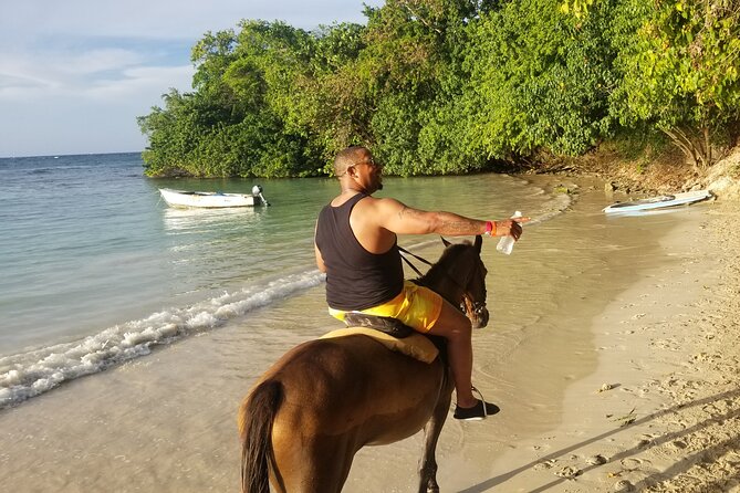 3. Dunn's River Falls Ocho Rios Private FunDay Tour - Who should book this half-day outing?