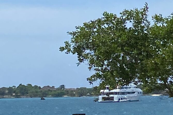 4 Hours Party Boat Catamaran Cruise in Negril - Timing, group size, and small planning tips