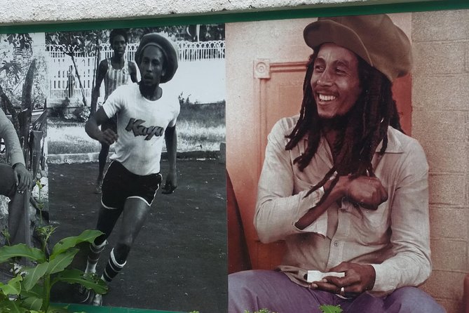 6. Bob Marley 9miles/Dunn's River Private Tour(420 Friendly)final resting place - The Road Between Montego Bay and Nine Mile