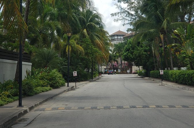 A "Private" Airport Transfer to any Resort in NEGRIL - Who will get the most from this ride?