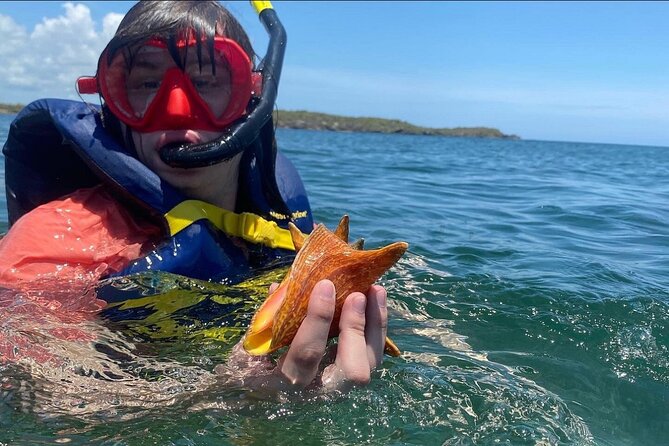 Adventurous-Snorkeling With Sightseeing of Montego Bay - Returning to land and drying off
