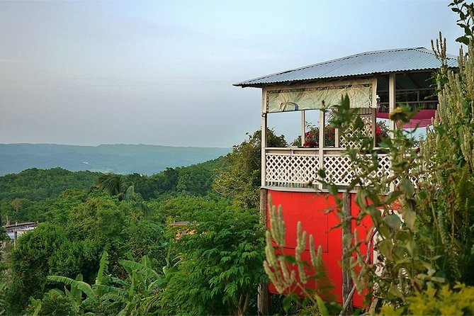 Ahhh Ras Natango Gallery and Garden Private Transfer - The people behind Ahhh Ras Natango