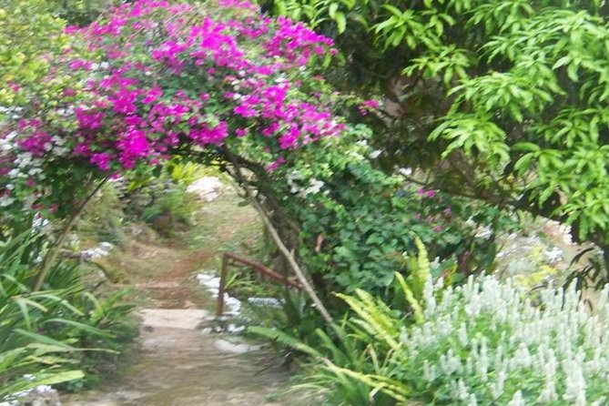 Ahhh Ras Natango Gallery and Garden Private Transfer - Ahhh Treasures and the handmade gift selection