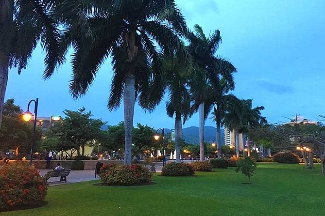 Airport Group Transfers-Kingston - What makes the driver service useful