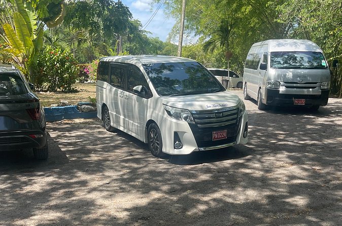 Airport Pickup, Dropoff to any Resort or Airbnb in Montego Bay - Booking details and cancellation terms