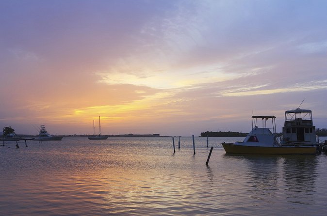 An Evening on the Lagoon: Martha Rafting, Luminous Lagoon and Falmouth Highlight - Weather, cancellation, and the best kind of day for this tour