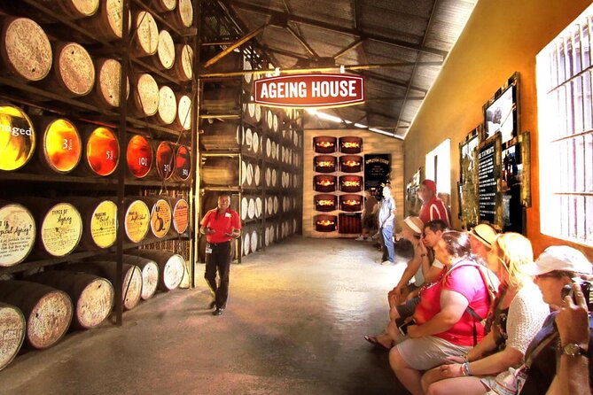 Appleton Estate Rum Factory And YS Falls Inclusive Tours From Montego Bay - Who will enjoy this combined excursion