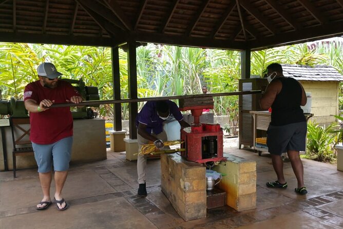 Appleton Estate Rum Tour and Pelican Bar Customize Tour - The south coast road is part of the tour