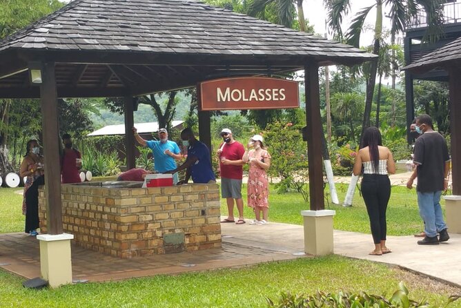 Appleton Estate Rum Tour and Pelican Bar Customize Tour - What the private format really adds