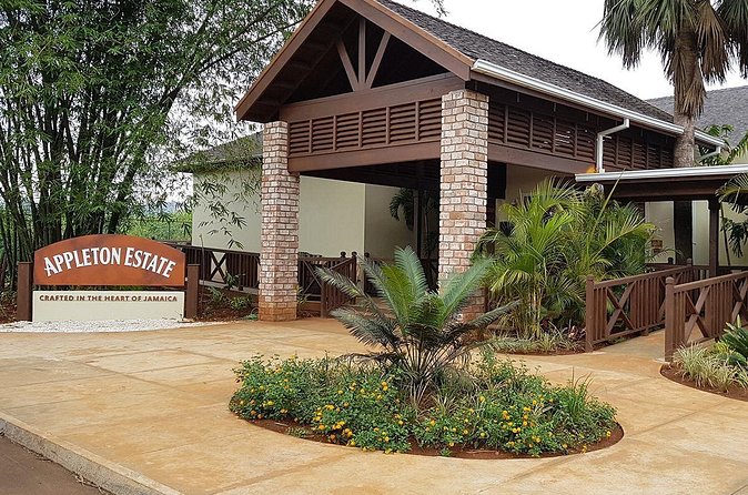 Appleton Estate Rum Tour and Tasting from Negril - The tasting, with cane juice on the side