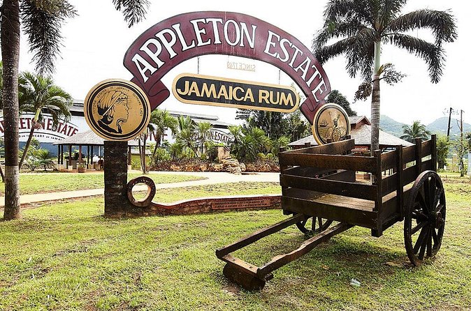 Appleton Estate Rum Tour and Tasting from Ocho Rios - Who Will Get the Most From This Appleton Visit