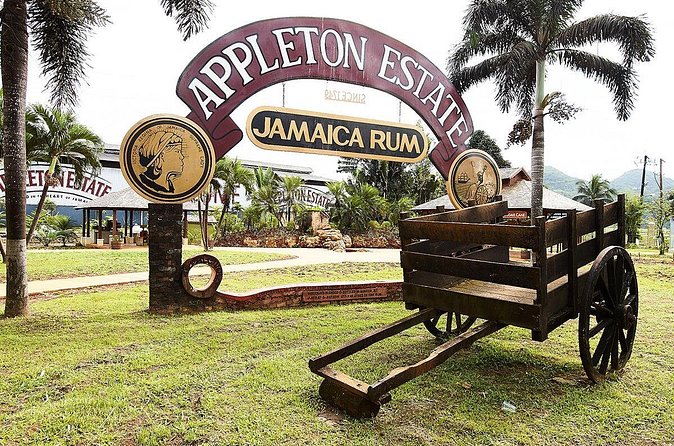 Appleton Estate Rum Tour and Tasting from Runaway Bay - The human side of the experience