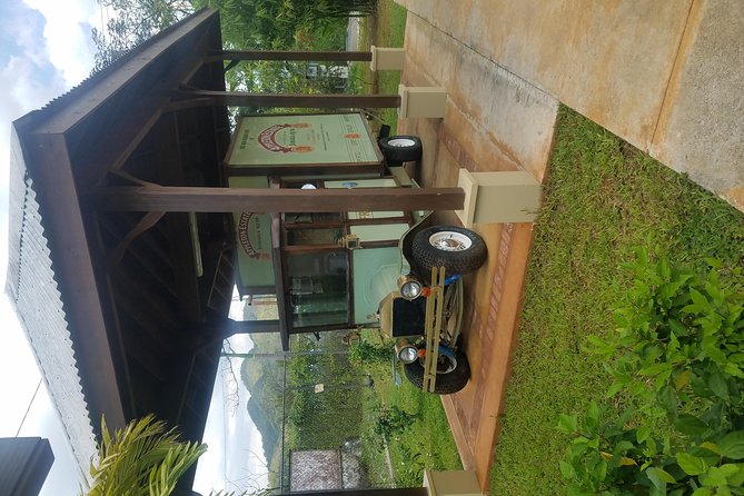 Appleton Estate Rum Tour [Transportation services] - From Lucea to the Appleton Estate