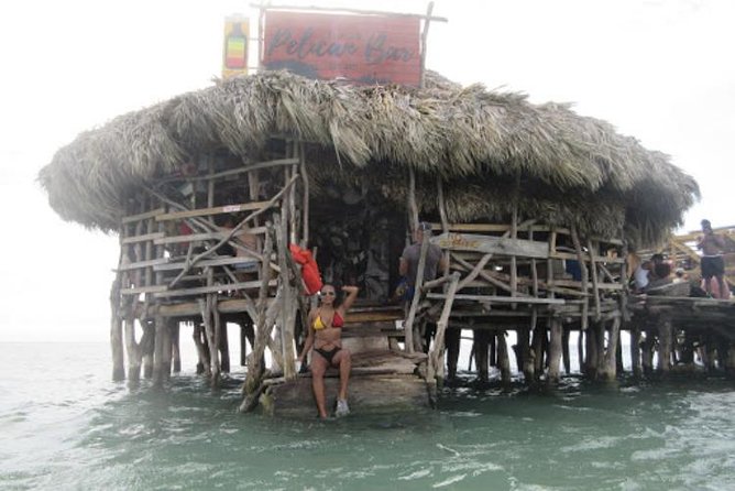 Appleton Estate Rum, YS Falls, Black River Safari / Floyd's Pelican Bar Tour - YS Falls: Jamaica’s active stop