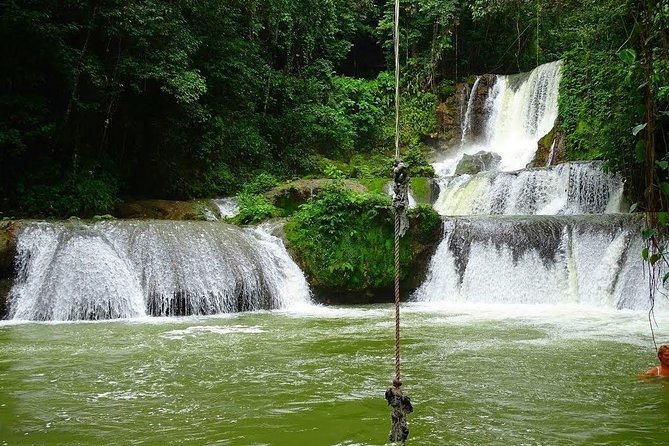 Appleton Estate, Ys Falls and Black River Safari Private Tour - Key points at a glance