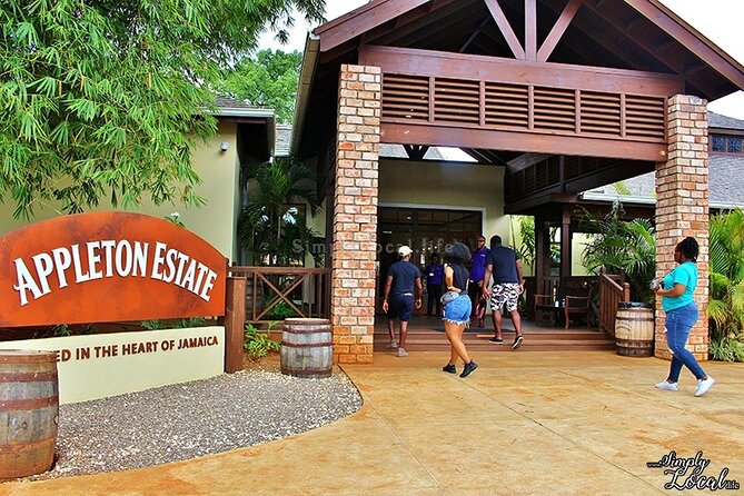 Appleton Estate, Ys Falls and Black River Safari Private Tour - Black River Safari: one hour among crocodiles and birds