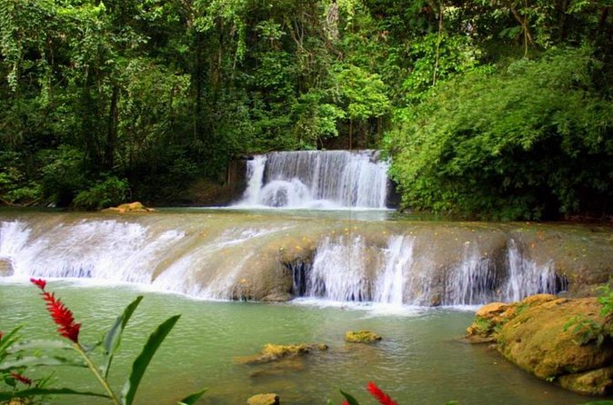 Appleton Estate, Ys Falls and Black River Safari Private Tour - Who will get the most from this experience