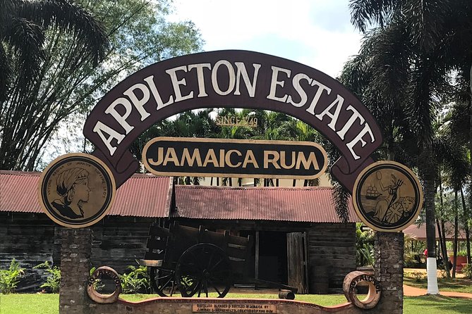 Appleton Rum Factory, YS Falls, and Reggae Horseback Ride & Swim Combo Tour - One long day through Jamaica’s southwest