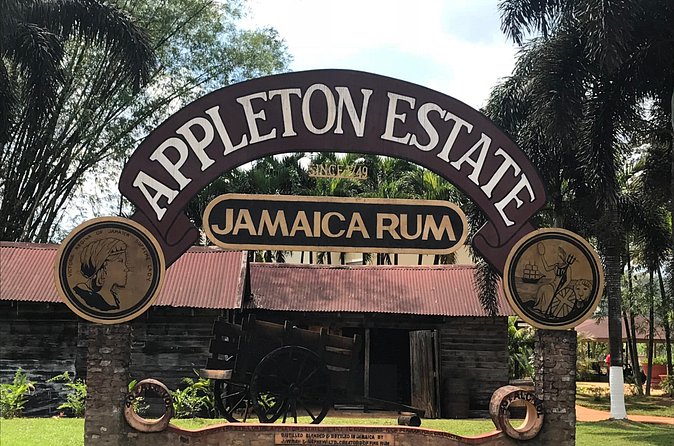 Appleton Rum Factory, YS Falls, and Reggae Horseback Ride & Swim Combo Tour - Appleton Rum and Joy Spence’s place in the story