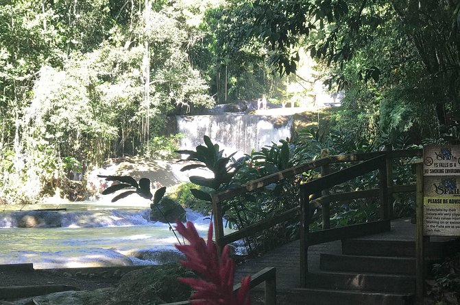 Appleton Rum Factory, Ys Falls, Black River Safari, Floyd’s Pelican Bar - What $169 includes and what it means
