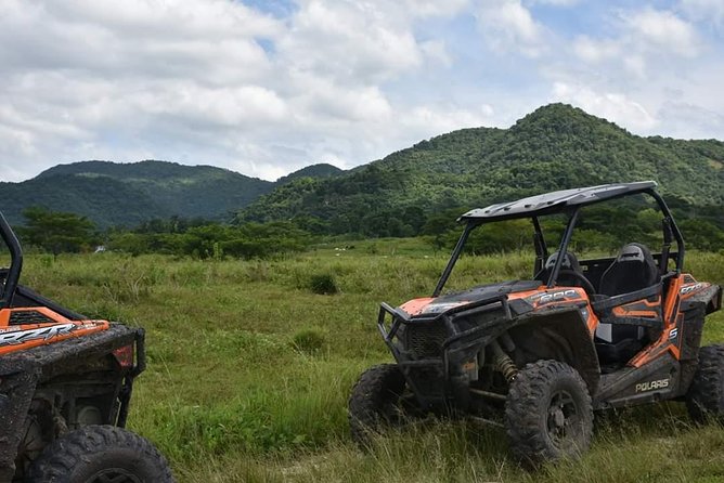 ATV Experience, cultural and social tour - Fruit, Sugar Cane, and an Ital Meal