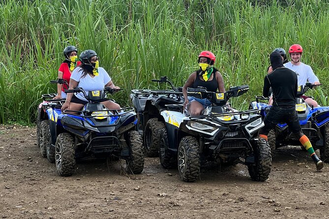 ATV Jungle Ride, Zipline and Ricks Cafe from Montego Bay - Ziplining Above the Trees