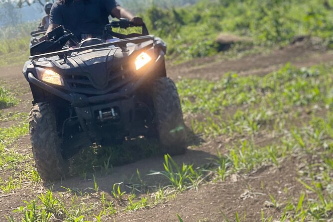 ATV, Zipline, Horseback, Bamboo Rafting and Rick’s Cafe - Ziplining with a lively crew