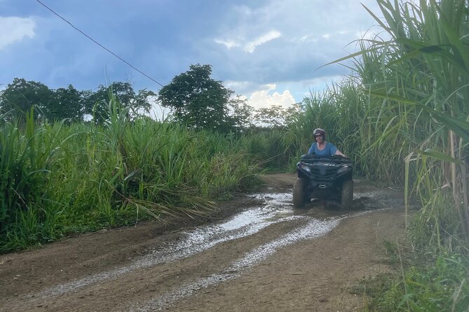 ATV, Zipline, Horseback, Bamboo Rafting and Rick’s Cafe - Rick’s Café and the western Jamaica finale