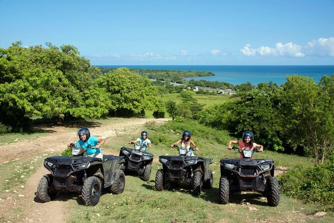 ATV, Zipline, Horseback, Bamboo Rafting & Catamaran Boat Jamaica - Ziplining above the treetops