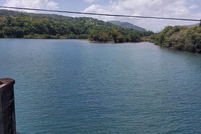 Bamboo Rafting and Boston Jerk Centre Tour in Portland Jamaica - Private transport from the meeting point