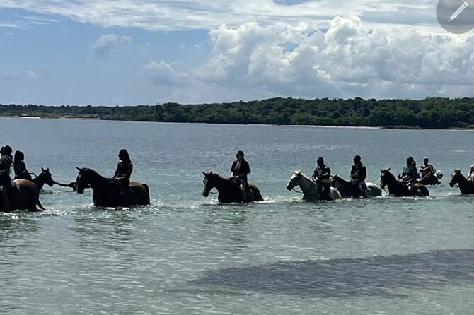 Bamboo Rafting and HorseBack Riding Excursion in OchoRios Jamaica - Key points to know before you book