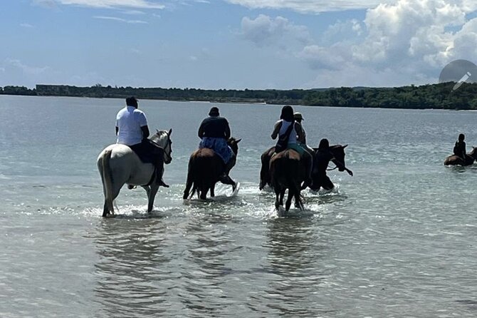 Bamboo Rafting and HorseBack Riding Excursion in OchoRios Jamaica - From Ocho Rios roads to a quiet bamboo river
