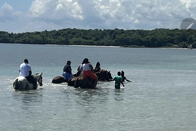 Bamboo Rafting and HorseBack Riding Excursion in OchoRios Jamaica - A one-hour ride on a handcrafted bamboo raft