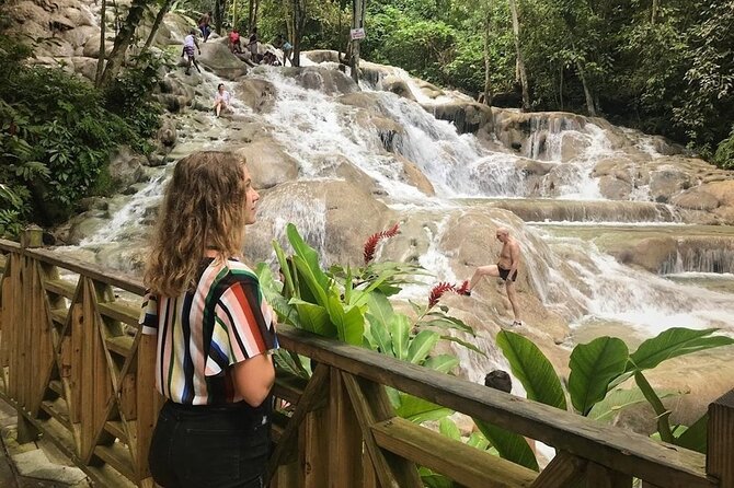 Bamboo Rafting, Dunn's River Falls and Horseback Riding Private Tour - What $257 per person really covers