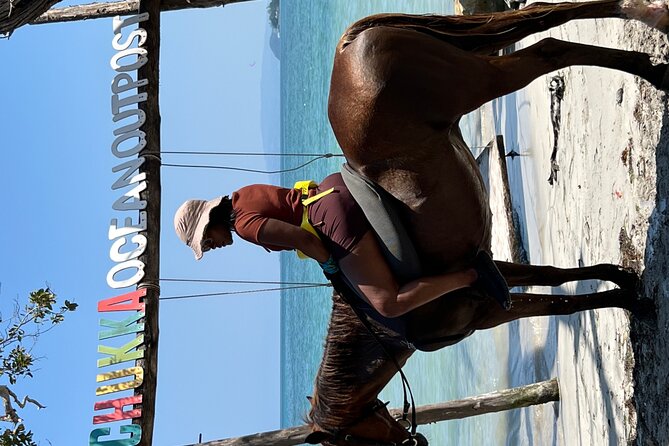 Bamboo Rafting & Horseback -dunns river Transportation Included - Is $299 a fair price?