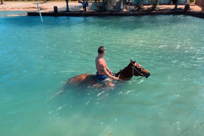 Bamboo Rafting & Horseback Ride n Swim Guided Tour In Montego Bay - What the mixed feedback means for you
