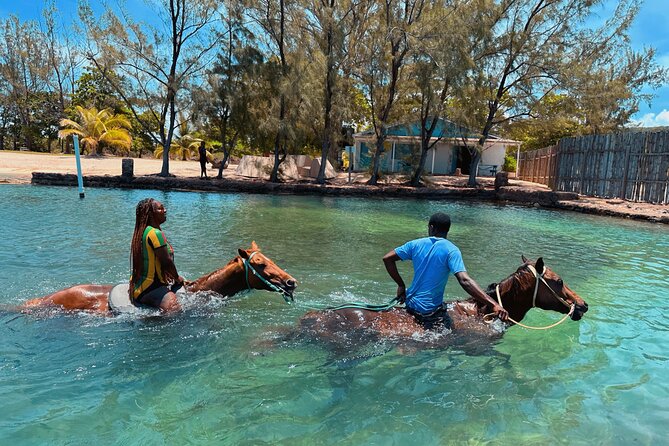 Bamboo Rafting & Horseback Ride n Swim Guided Tour In Montego Bay - Timing, age rules, and cancellation