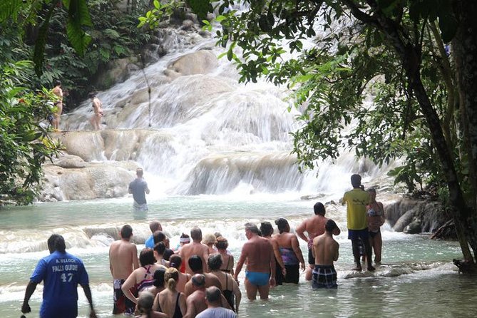 Beach Horseback Riding and Dunn’s River Falls - Is $188 a fair price?