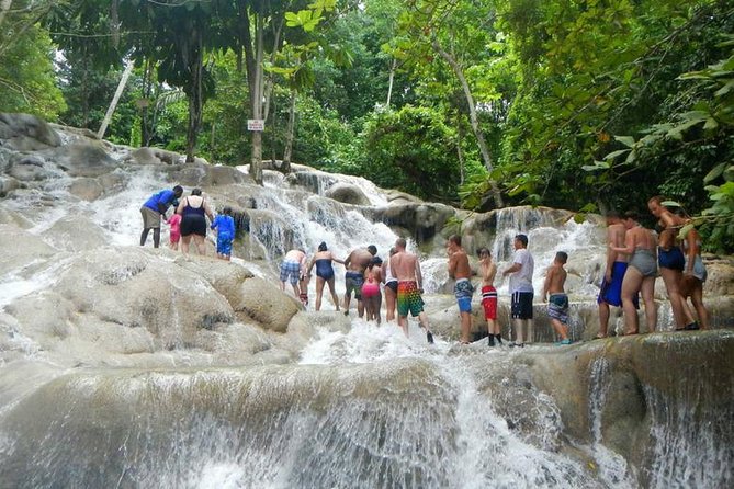 Beach Horseback Riding and Dunn’s River Falls - Who will enjoy this outing most