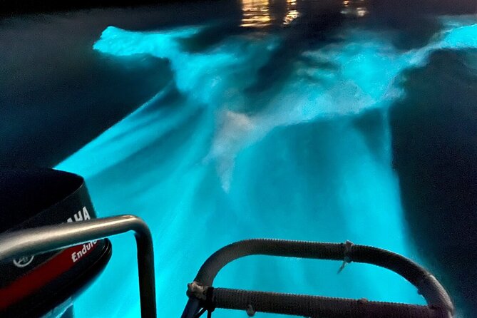 Bioluminescence Lagoon Tour from Montego Bay with Pick Up - Who will enjoy this Montego Bay excursion