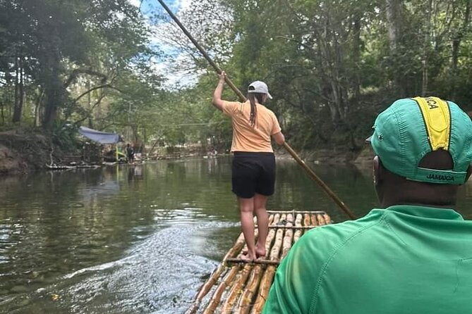 Bird Sanctuary and/or Lethe Bamboo Rafting from Montego Bay - Rocklands Bird Sanctuary and the sugar syrup bottle