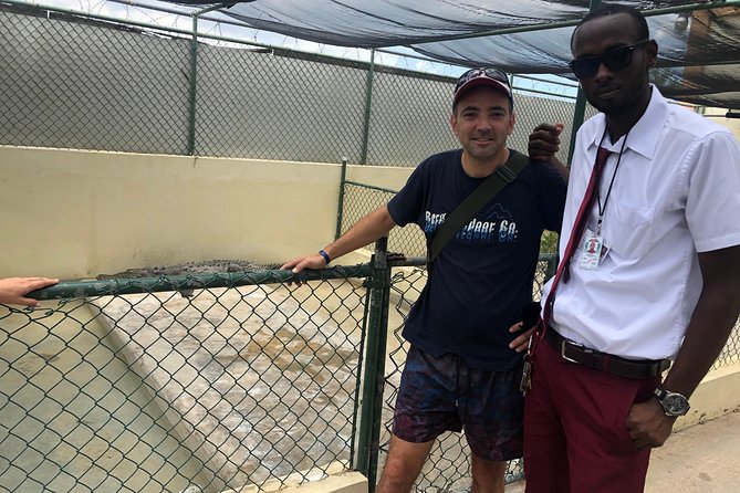 Black River Safari and YS Falls - Key points to know before booking