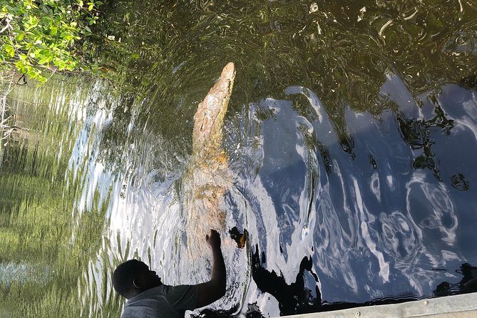 Black River Safari and YS Falls - Is the $250 group rate good value?